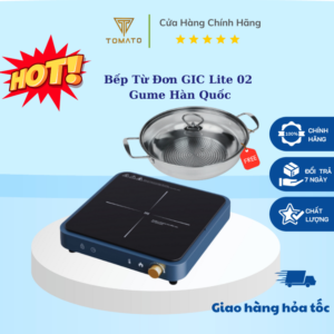 Bếp Từ Đơn Gume GIC Lite 02